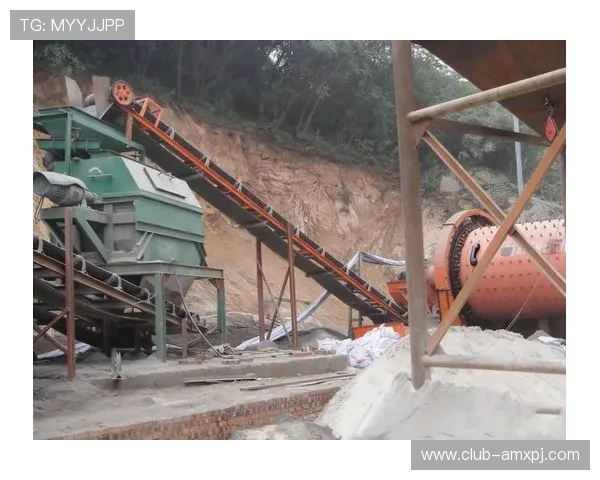 澳门新葡京在线观看免费资源，满足不同用户的多样化观看需求