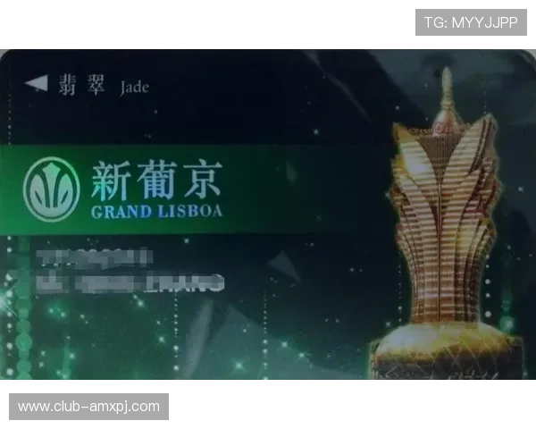 澳门新葡京旗舰厅下载官网最新版本下载安装指南，轻松开启精彩娱乐之旅