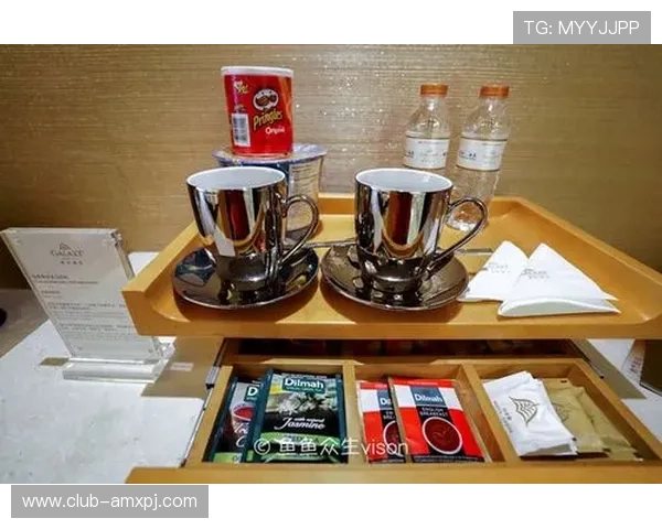 澳门葡京平台网页版操作指南，轻松掌握各项游戏技巧与玩法